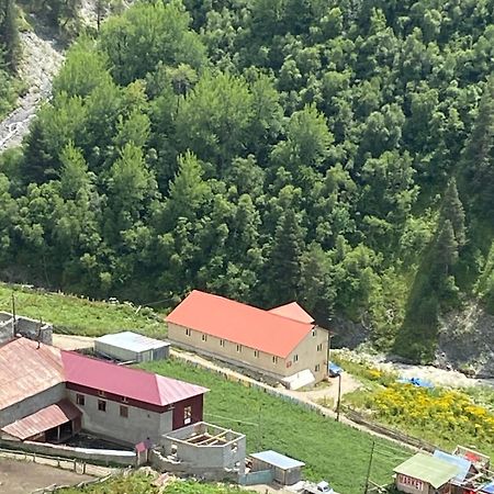Guest House Caucasioni Adishi 外观 照片