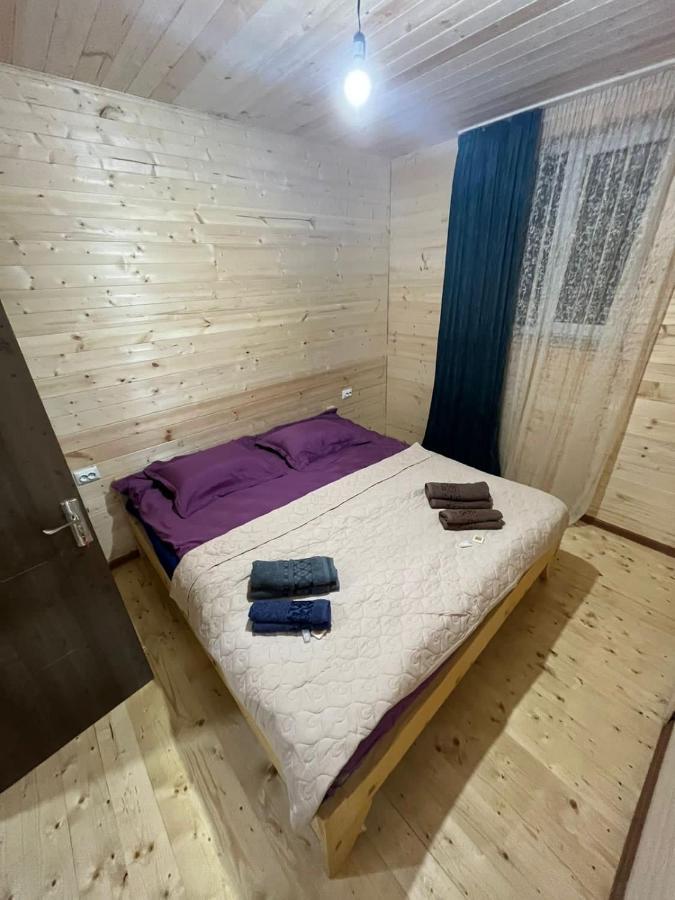Guest House Caucasioni Adishi 外观 照片