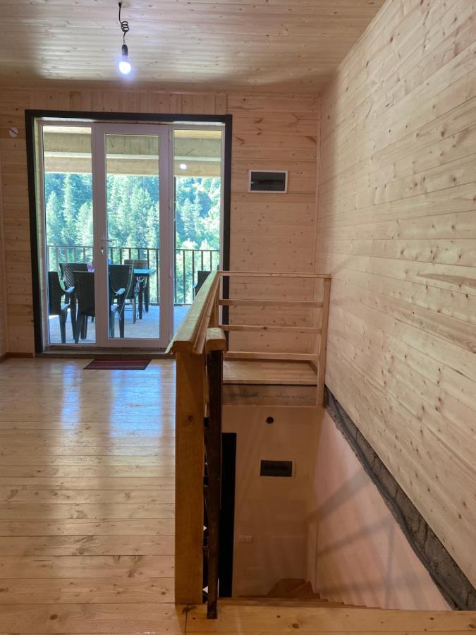 Guest House Caucasioni Adishi 外观 照片
