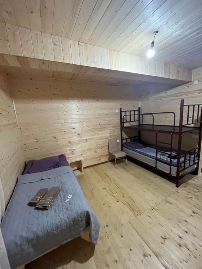 Guest House Caucasioni Adishi 外观 照片