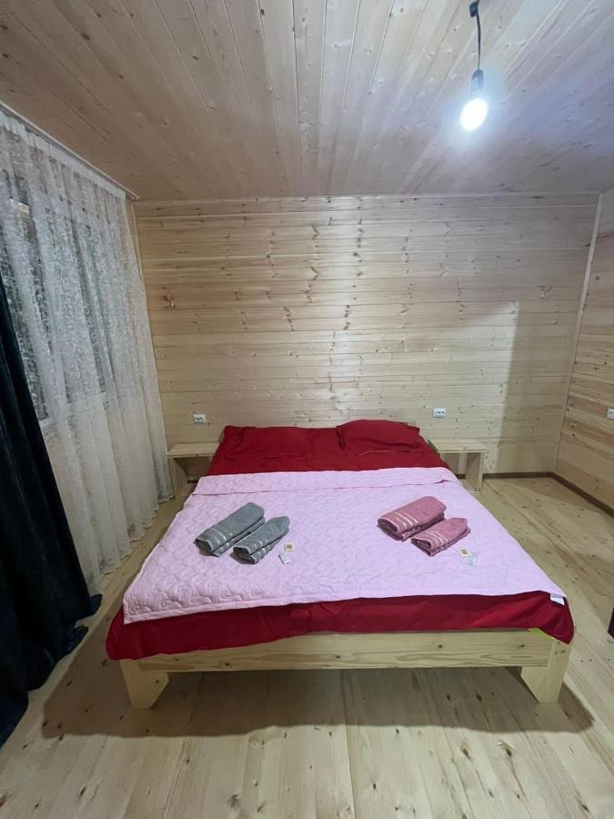 Guest House Caucasioni Adishi 外观 照片