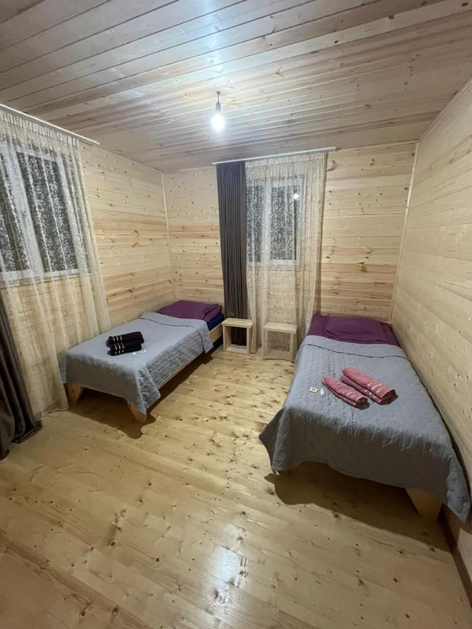 Guest House Caucasioni Adishi 外观 照片