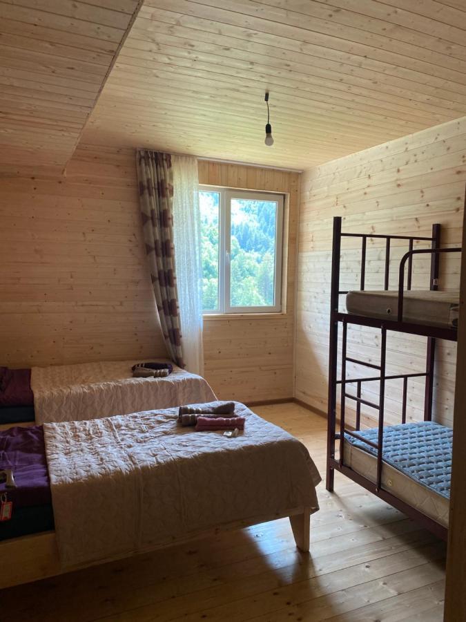 Guest House Caucasioni Adishi 外观 照片